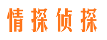 西峡市侦探公司